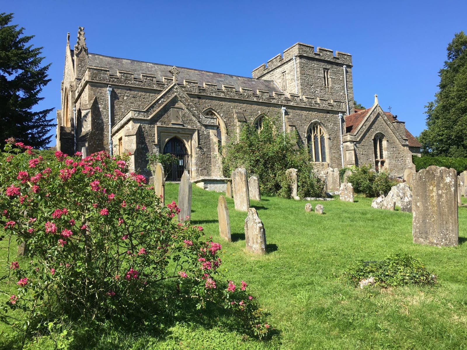 St Peter's Church in summer, with pink roses in the churchyard